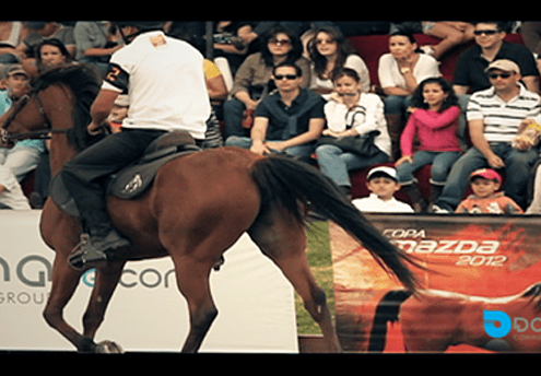 accae asociacion criadores caballos–arabes post 1 organización feria caballo evento show logo espectaculo publicidad marketing deporte ecuestre equitacion hipica pura raza quito guayaqui