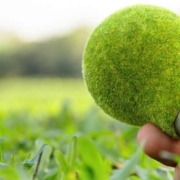 Marketing verde