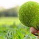Marketing verde