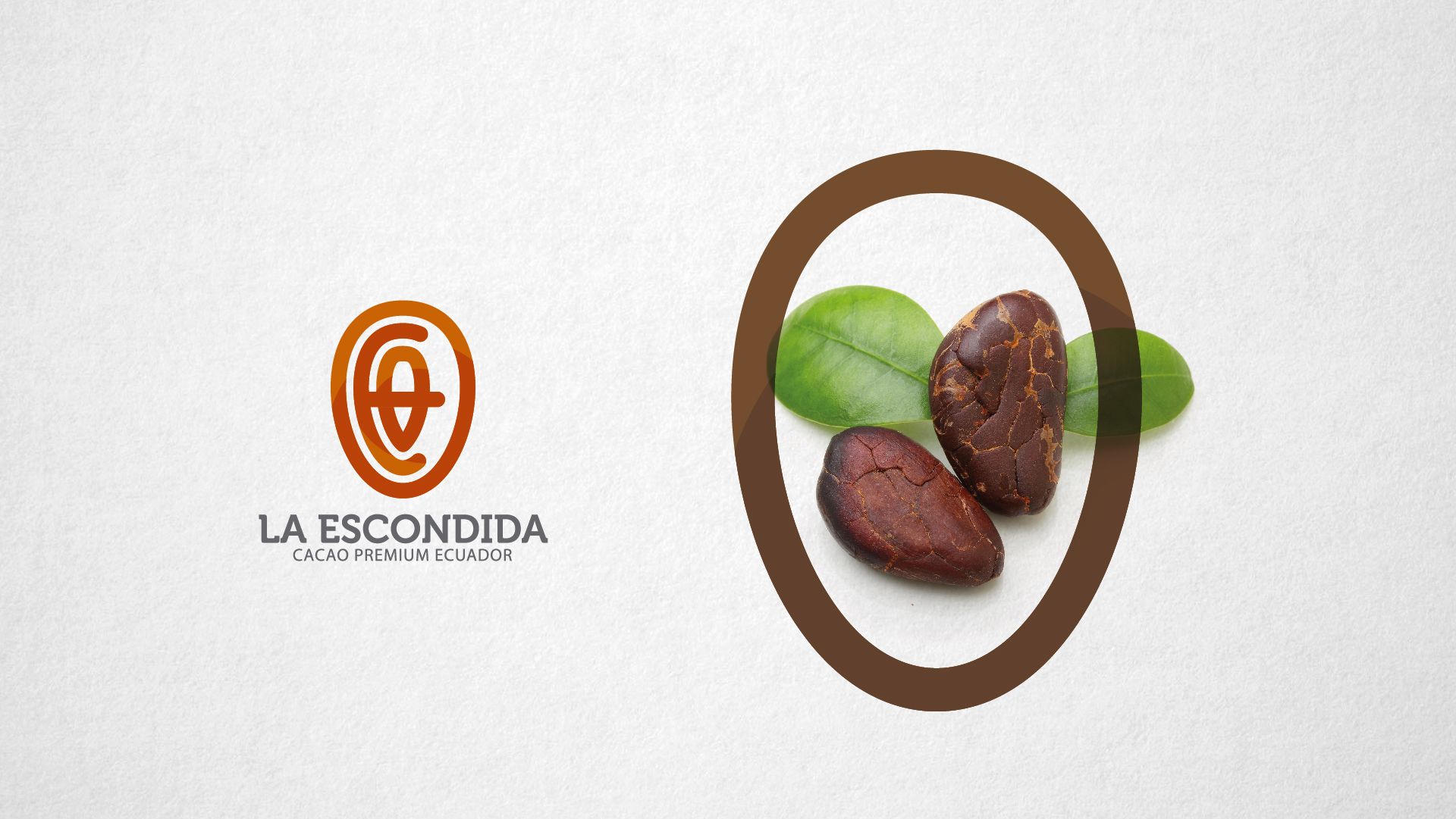 Cacao la escondida diseño logotipo cacao premium ecuador branding desarrollo marca chocolate ecuatoriano imagen corporativa guayaquil quito ecuador dogma cg 002B C