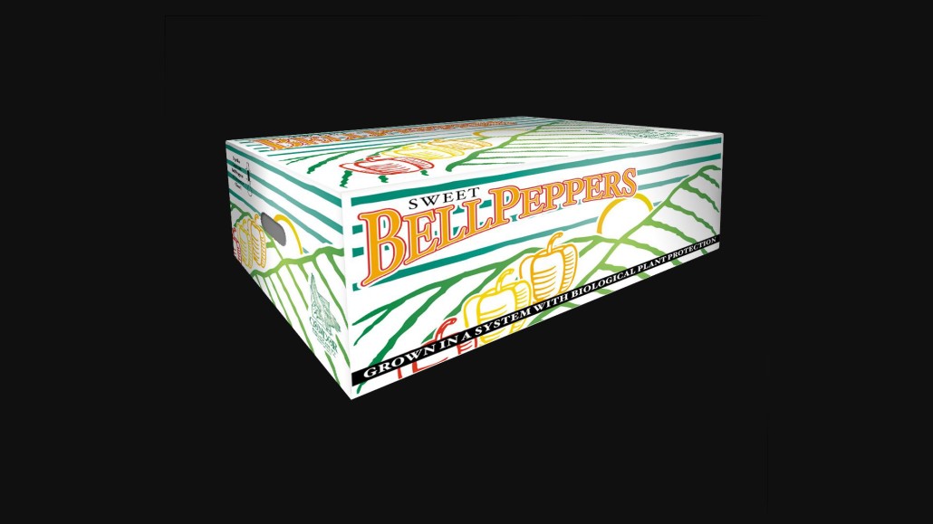 Haco holland andino diseno cajas exportacion packaging envases embalajes branding guayaquil quito ecuador dogma cg 002 C