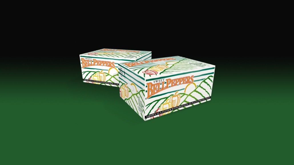 Haco holland andino diseno cajas exportacion packaging envases embalajes branding guayaquil quito ecuador dogma cg 003 C