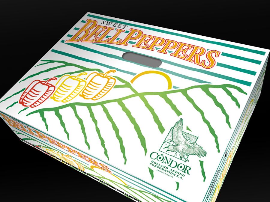 Haco holland andino diseno cajas exportacion packaging envases embalajes branding guayaquil quito ecuador dogma cg 004 C