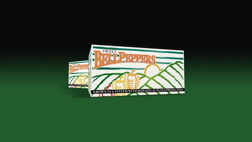 Haco holland andino diseno cajas exportacion packaging envases embalajes branding guayaquil quito ecuador dogma cg C
