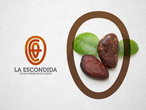 Concepto creativo logotipo chocolate cacao premium dogma cg