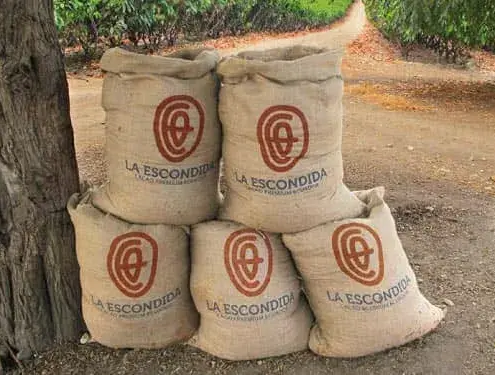 Diseno marca chocolate premium cacao exportacion C