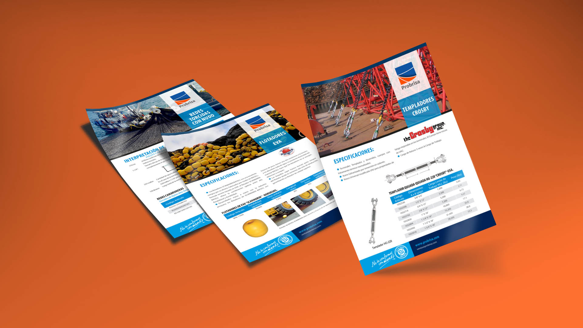 identidad gráfica Probrisa