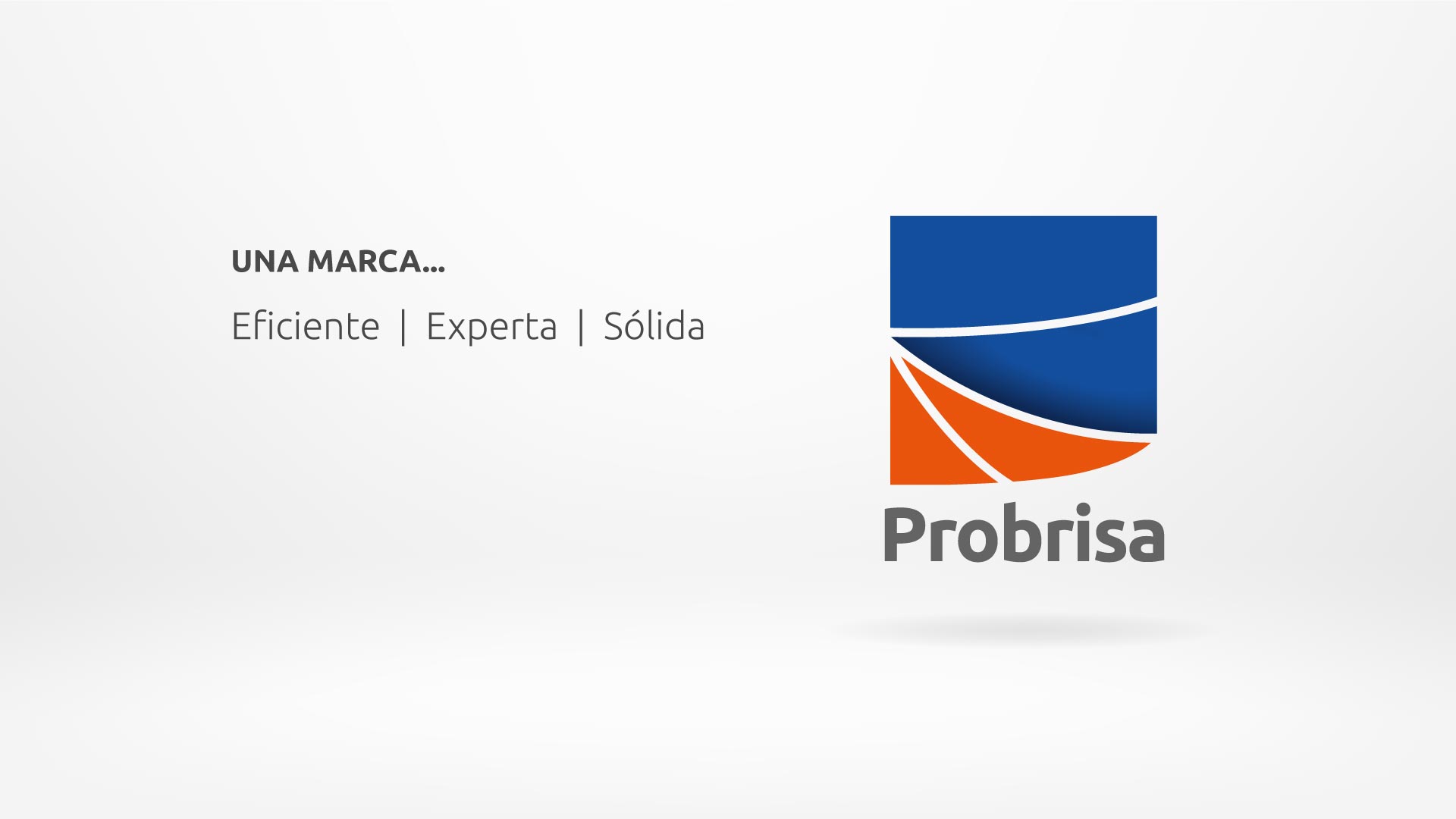 Rediseño de identidad gráfica Probrisa