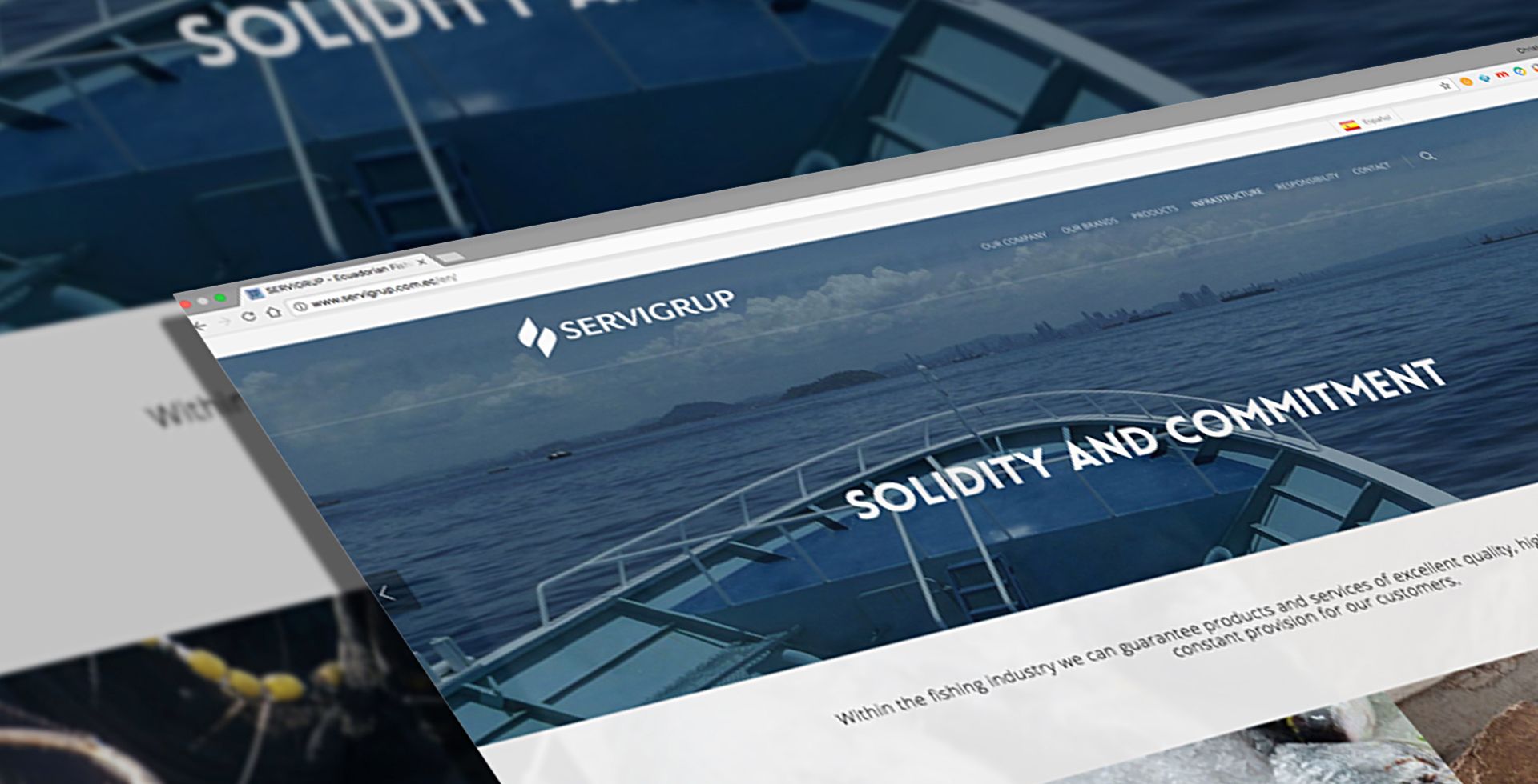 Diseño web Servigrup