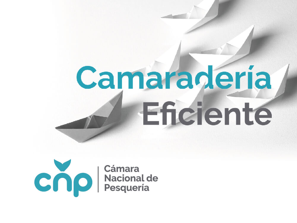 campana-branding-ecuador-camara-nacional-pesqueria-gremio-imagen-corporativa-agencia-publicidad-dogma-cg-quito-guayaquil-movil campaña branding CNP