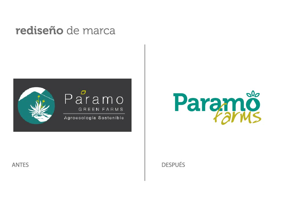 diseño marca Paramo Farms