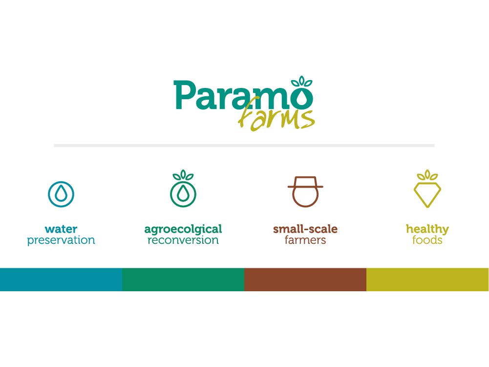 diseño marca Paramo Farms