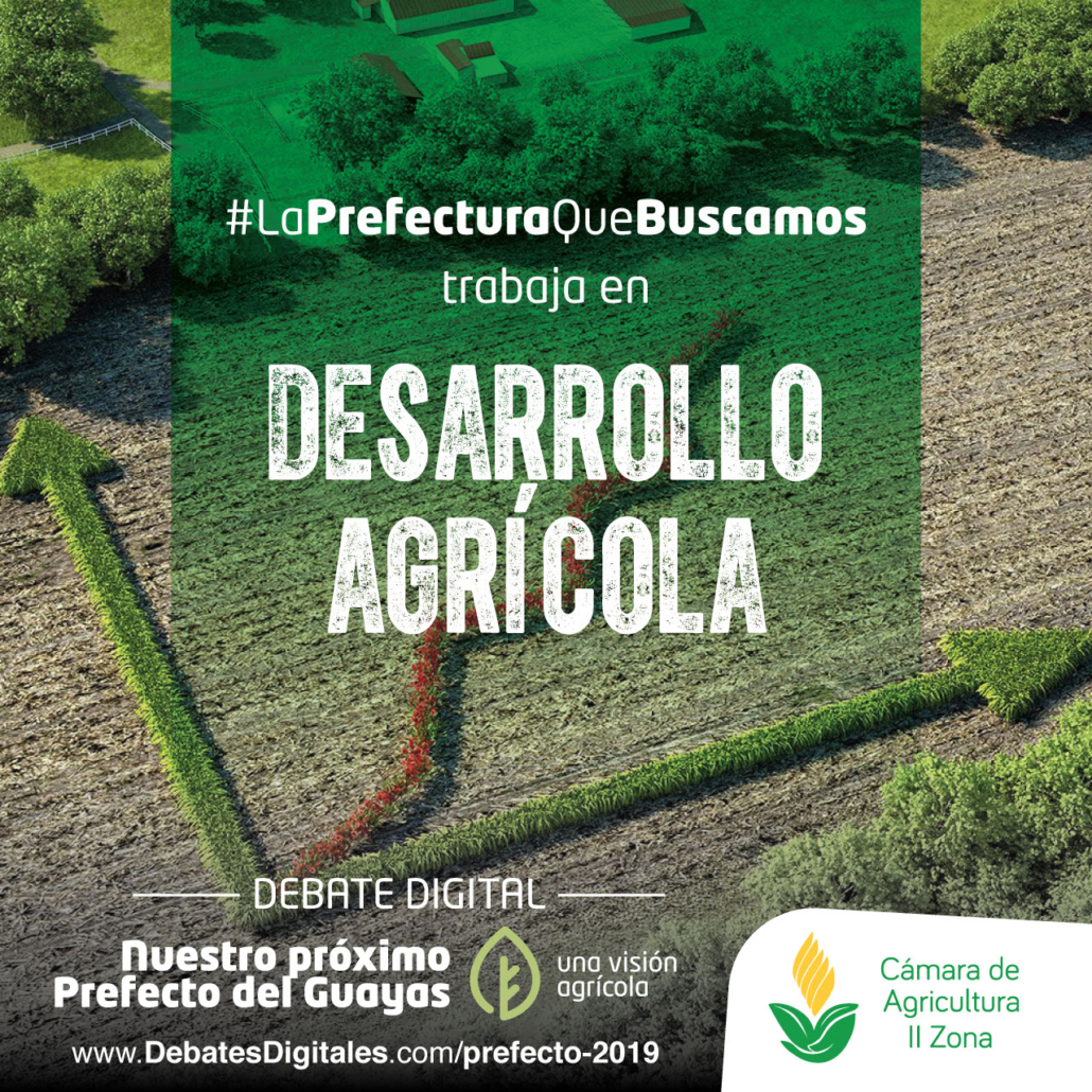 Gestion redes sociales elecciones ecuador camara agricutura dogmacg