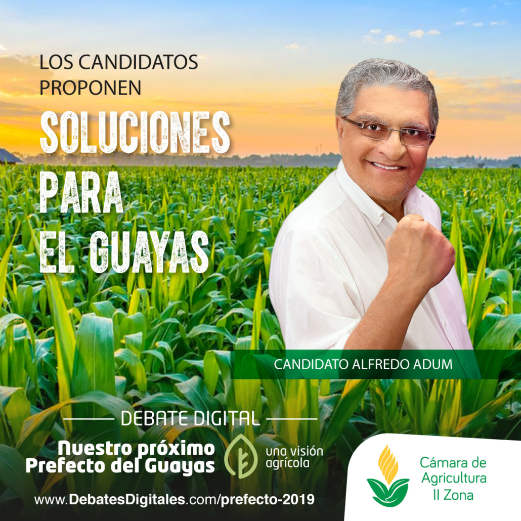 Soluciones candidatos2