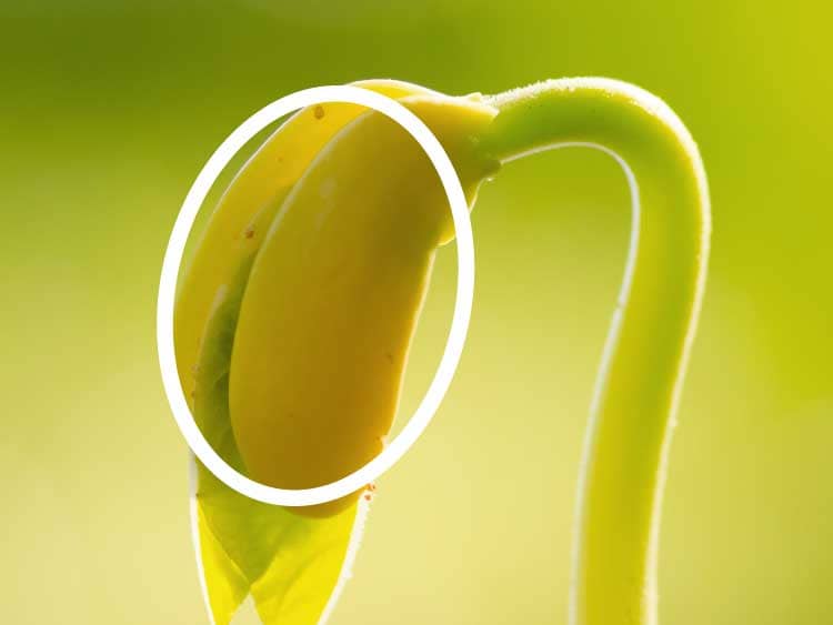 como hacer un concepto de marca ejemplo branding C