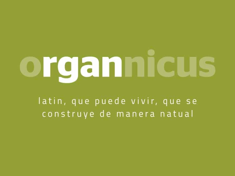 ejemplo de naming creacion nombre marca C