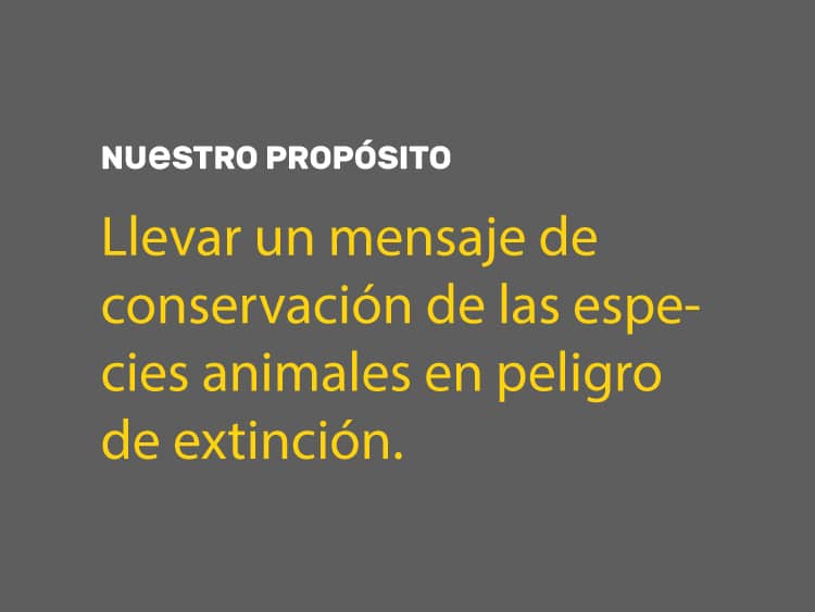 marcas con proposito sustentables marketing verde C