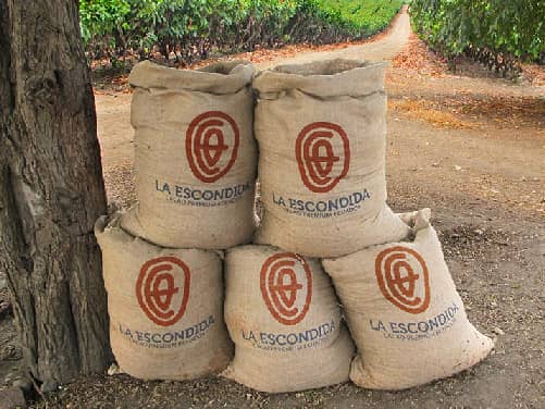 Diseno sacos costales producto exportacion cacao C