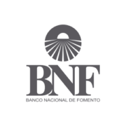 BNF LOGO